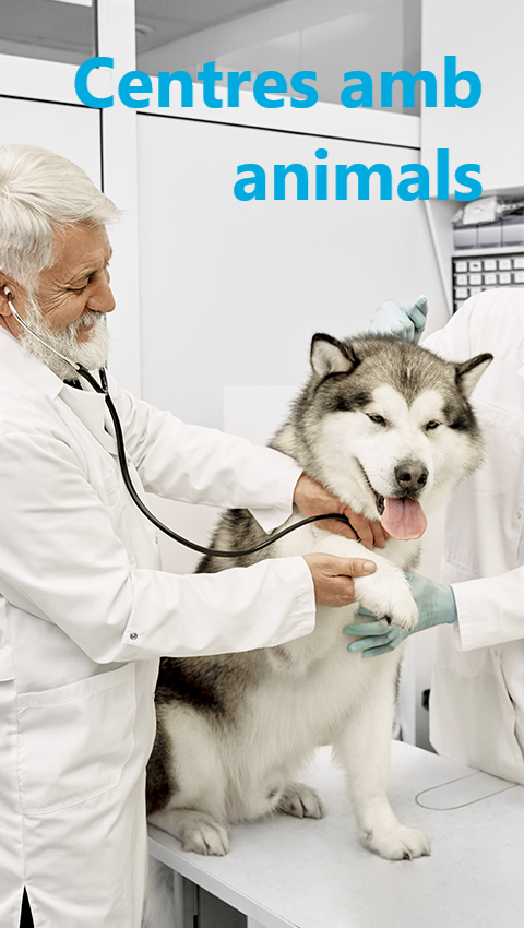 Clíniques veterinàries