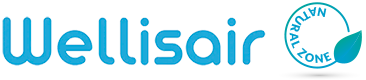 Logotipo de Wellisair